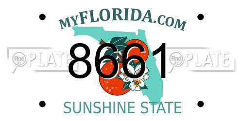 8661 Florida License Plate