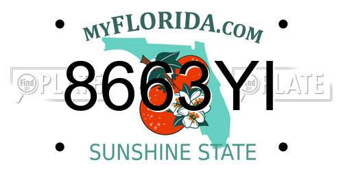 8663YI Florida License Plate