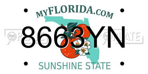 8663YN Florida License Plate