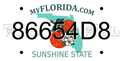86654D8 Florida License Plate