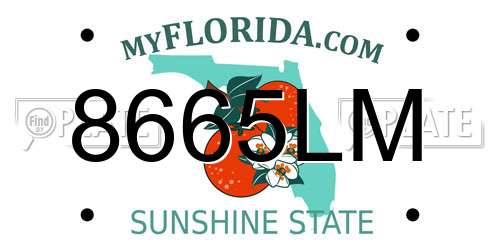8665LM Florida License Plate