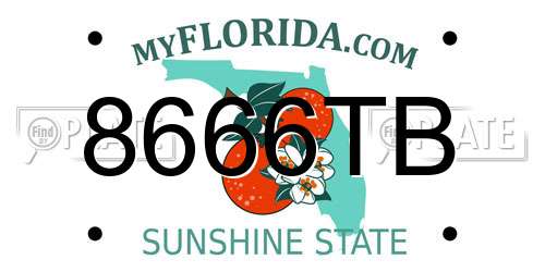 8666TB Florida License Plate