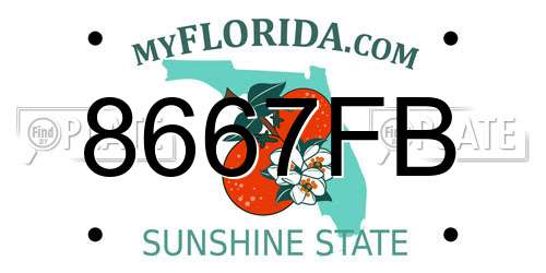 8667FB Florida License Plate