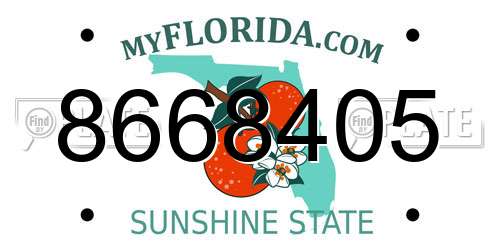 8668405 Florida License Plate
