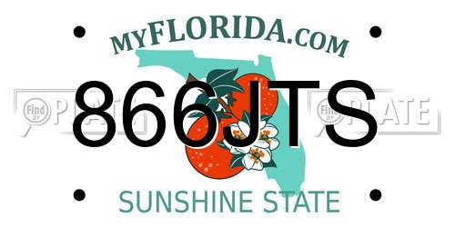 866JTS Florida License Plate