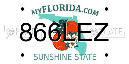 866LEZ Florida License Plate
