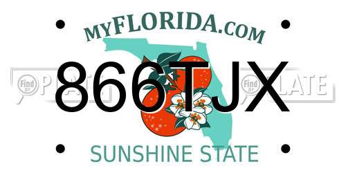 866TJX Florida License Plate