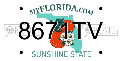 8671TV Florida License Plate