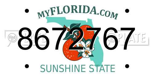 8672767 Florida License Plate
