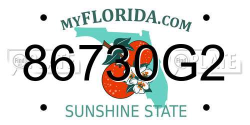 86730G2 Florida License Plate
