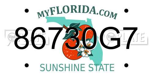 86730G7 Florida License Plate