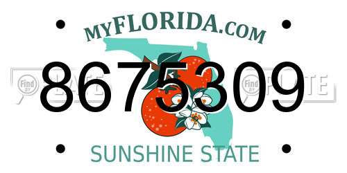 8675309 Florida License Plate