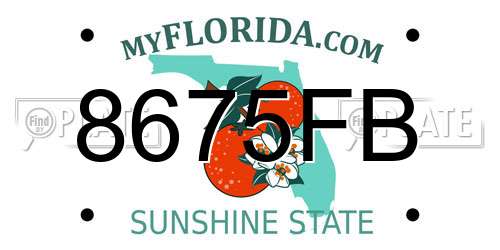 8675FB Florida License Plate
