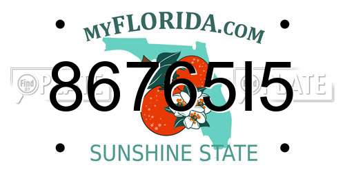 86765I5 Florida License Plate