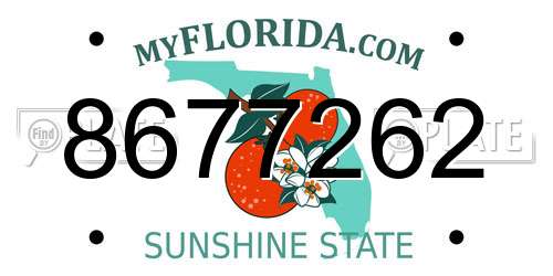 8677262 Florida License Plate