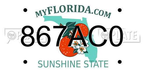 867AC0 Florida License Plate