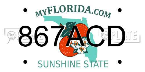 867ACD Florida License Plate