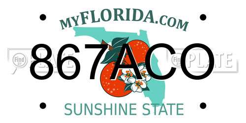 867ACO Florida License Plate