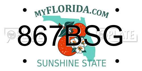 867BSG Florida License Plate