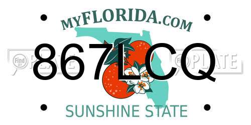 867LCQ Florida License Plate