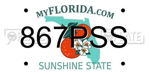 867PSS Florida License Plate