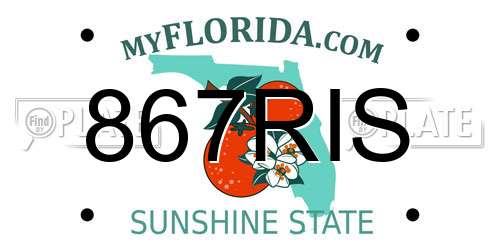 867RIS Florida License Plate