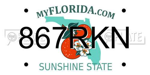 867RKN Florida License Plate