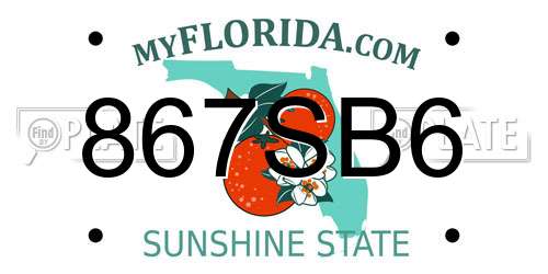 867SB6 Florida License Plate
