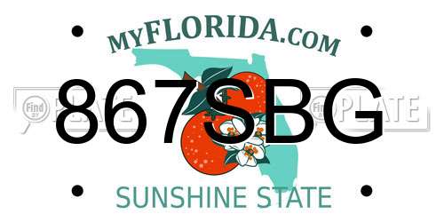867SBG Florida License Plate
