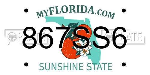 867SS6 Florida License Plate