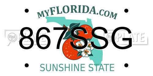 867SSG Florida License Plate