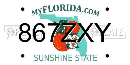 867ZXY Florida License Plate