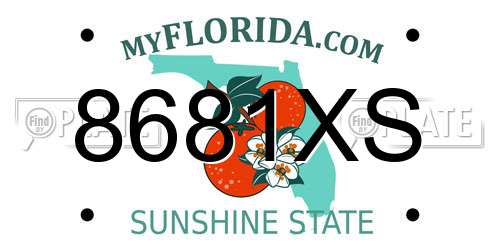 8681XS Florida License Plate