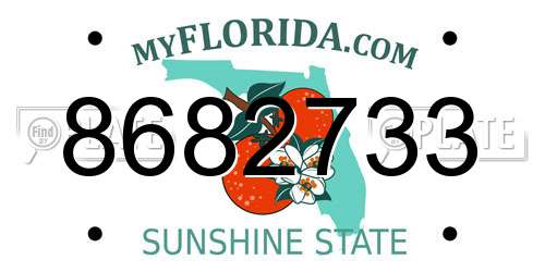 8682733 Florida License Plate