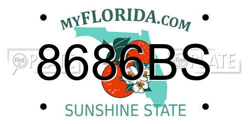 8686BS Florida License Plate