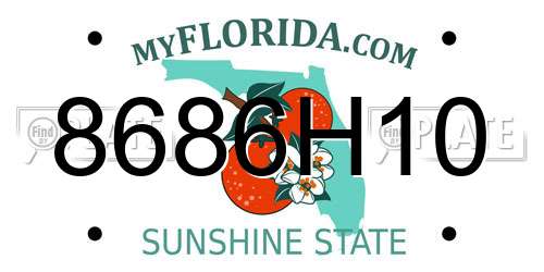 8686H10 Florida License Plate