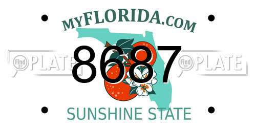 8687 Florida License Plate