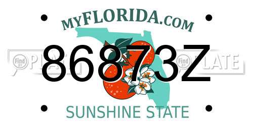 86873Z Florida License Plate