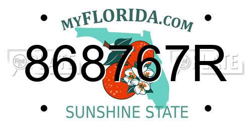 868767R Florida License Plate