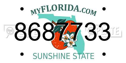 8687733 Florida License Plate
