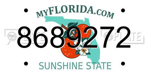 8689272 Florida License Plate