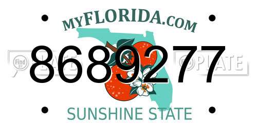 8689277 Florida License Plate