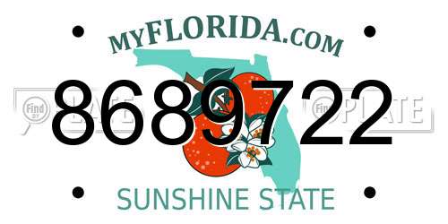 8689722 Florida License Plate