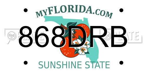 868DRB Florida License Plate