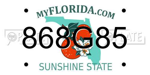 868G85 Florida License Plate