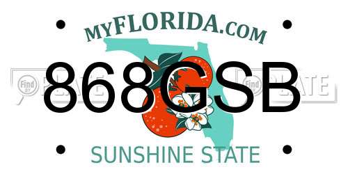 868GSB Florida License Plate