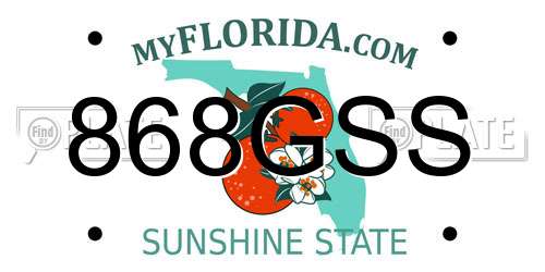 868GSS Florida License Plate