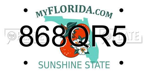 868QR5 Florida License Plate