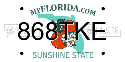 868TKE Florida License Plate