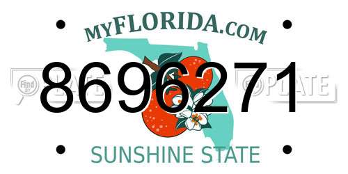 8696271 Florida License Plate